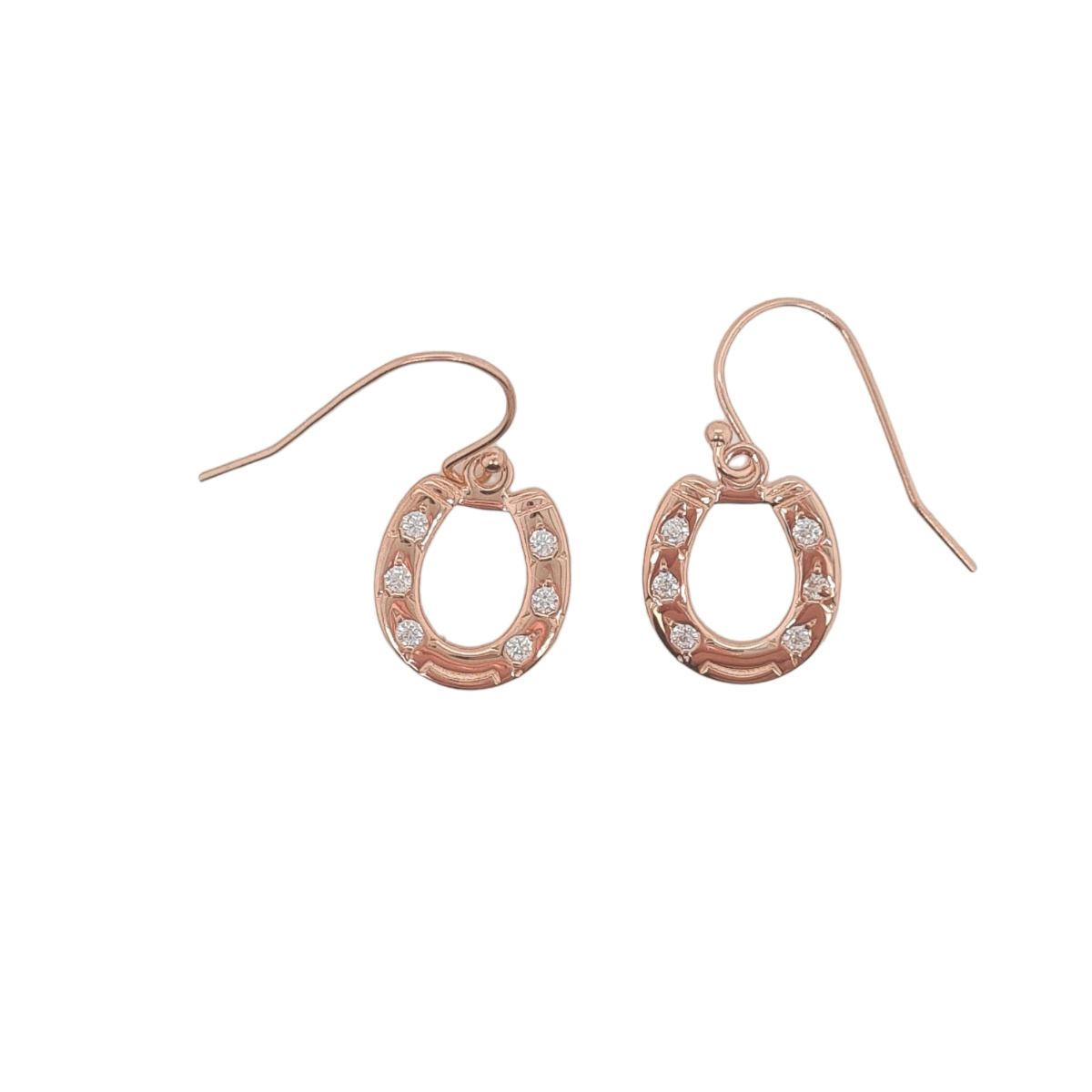 EARRINGS S/S & RGP CZ DROP HSH