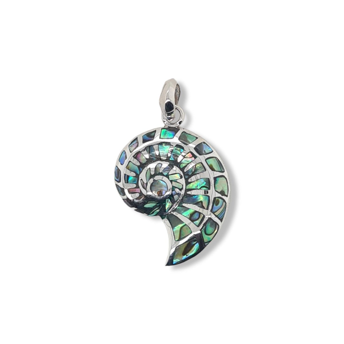 PENDANT S/S & PAUA NAUTILUS