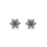 STUDS S/S & F/WATER PEARL CZ