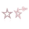 EARRINGS S/S BRUSHED STAR RGP