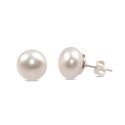 EARRINGS S/S F/W  PEARL STUDS