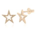 EARRINGS S/S YGP BRUSH STAR