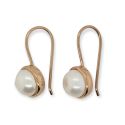 EARRINGS S/S & F/W PEARL RGP