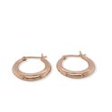 HOOPS S/S & RGP 22mm FANCY