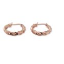 HOOPS S/S & RGP 4 X 20mm TWIST