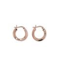 HOOPS S/S & RGP 4 X 20mm TWIST