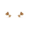 STUDS S/S & RGP FLAT STAR