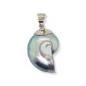 PENDANT S/S & NAUTILUS SHELL