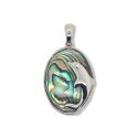 PENDANT S/S & PAUA DOLPHIN