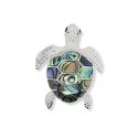 PENDANT S/S & PAUA SEA TURTLE