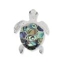 PENDANT S/S & PAUA SEA TURTLE