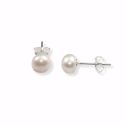 EARRINGS S/S 7mm PEARL STUDS