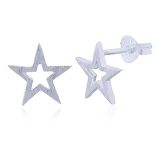 EARRINGS S/S BRUSHED STAR STUD