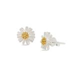 EARRINGS S/S CHAMOMILE STUD YG