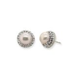 STUDS S/S & FW PEARLS 10mm CZ