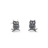 STUDS S/S OWLS