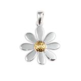 PENDANT S/S DAISY