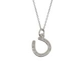 PENDANT S/S W CHAIN HORSSHOE