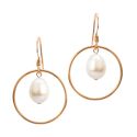 EARRINGS S/S & RG CIRCLE PEARL