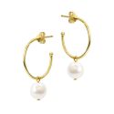 HOOPS S/S & GP 20mm & PEARL