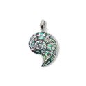 PENDANT S/S & PAUA NAUTILUS
