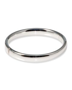 BANGLE S/S 9 X 60mm ROUND HNG