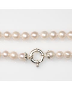 PEARL NECKLACE 8mm 45CM F/W